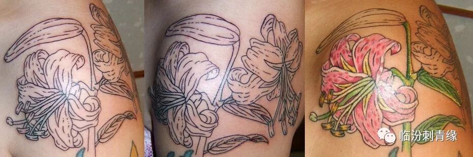 百合纹身手稿 同城刺青传媒 微信公众号文章阅读 Wemp