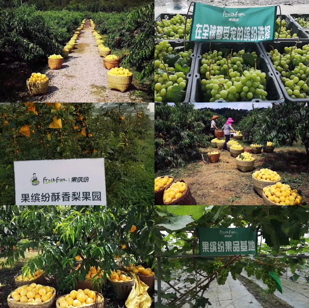 果繽紛水果店加盟費