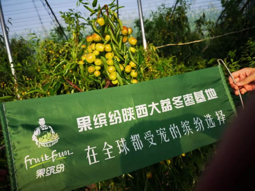 果繽紛水果店加盟費