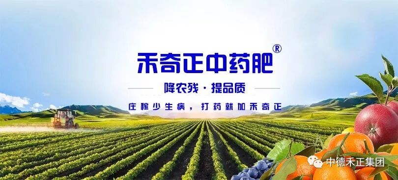 防病不见病 防虫不见虫 禾奇正中药肥用打开次生代谢和追加营养来建立农作物的防御系统 中德禾正集团 微信公众号文章阅读