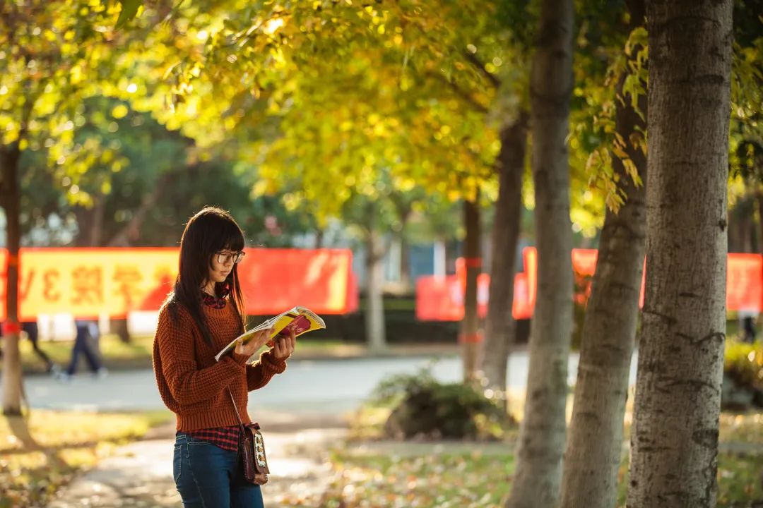 宁波城市职业技术学院招生网_宁波城市职业技术学院招生简章_宁波城市职业技术学院招生计划