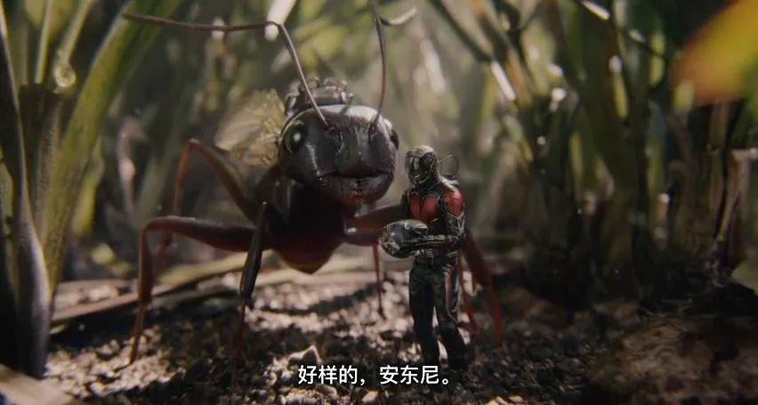 初代蚁人_蚁人和蚁人2_初代奥特曼初代奥特曼初代