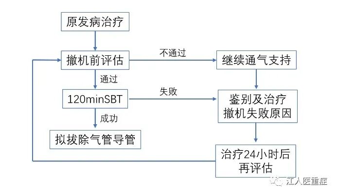 呼吸机怎么看自主呼吸呼吸机撤机的细节和流程_https://www.jmylbn.com_新闻资讯_第5张