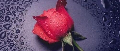 妇产科医生曝光：仅次于“宫颈糜烂”，这也是个被过度治疗的“妇科病”