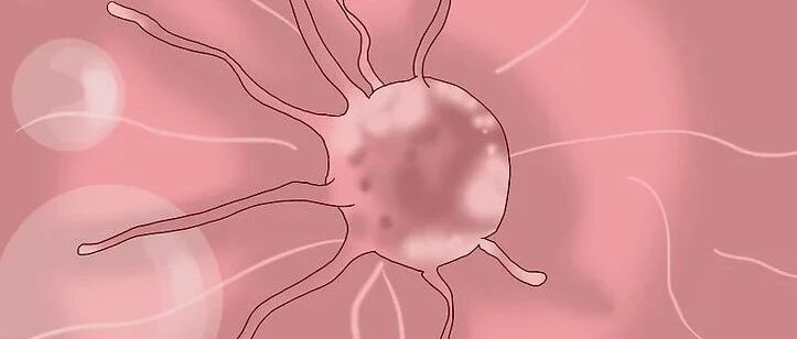 关于HPV与宫颈癌的科普，看这一篇就够了