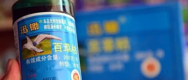 13岁女孩喝下百草枯，生死未卜，喝百草枯不只是自杀，而是加长版的活埋