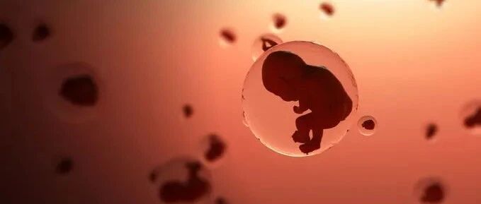 “要命”的宫外孕，最爱招惹这几种人