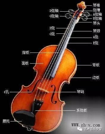 年初选购小提琴，只买对的不买贵的