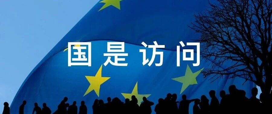 国是访问 | 沃尔沃（中国）投资有限公司总裁：上半年中国区域业务“一枝独秀”