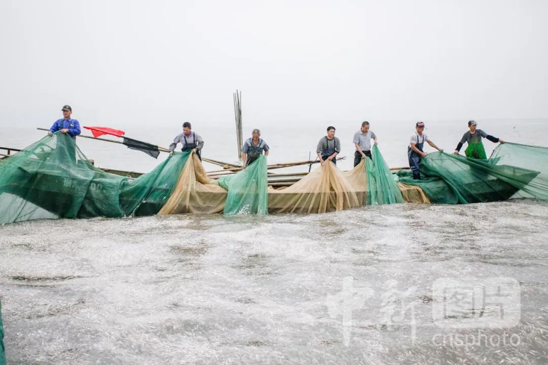 畫說浙江 | 從「最早獨木舟」到「全球最大船」，浙江舟船的前世今生 旅遊 第15張