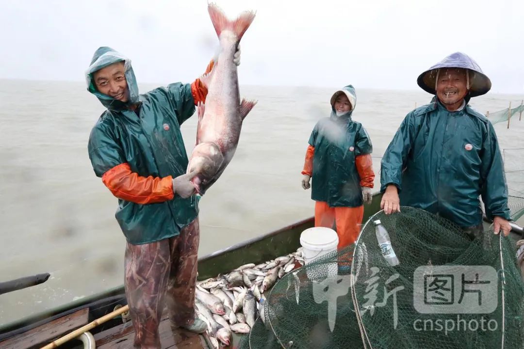 畫說浙江 | 從「最早獨木舟」到「全球最大船」，浙江舟船的前世今生 旅遊 第14張