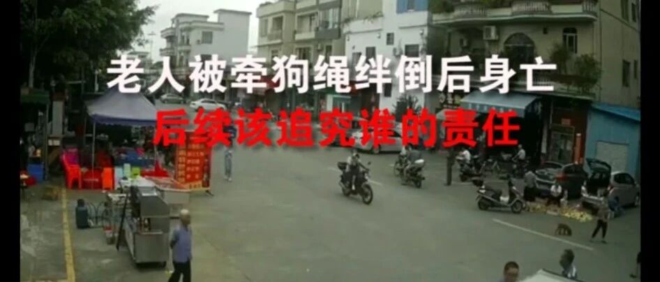 国是说法 | 老人被狗绳绊倒死亡，各方法律责任如何划分？