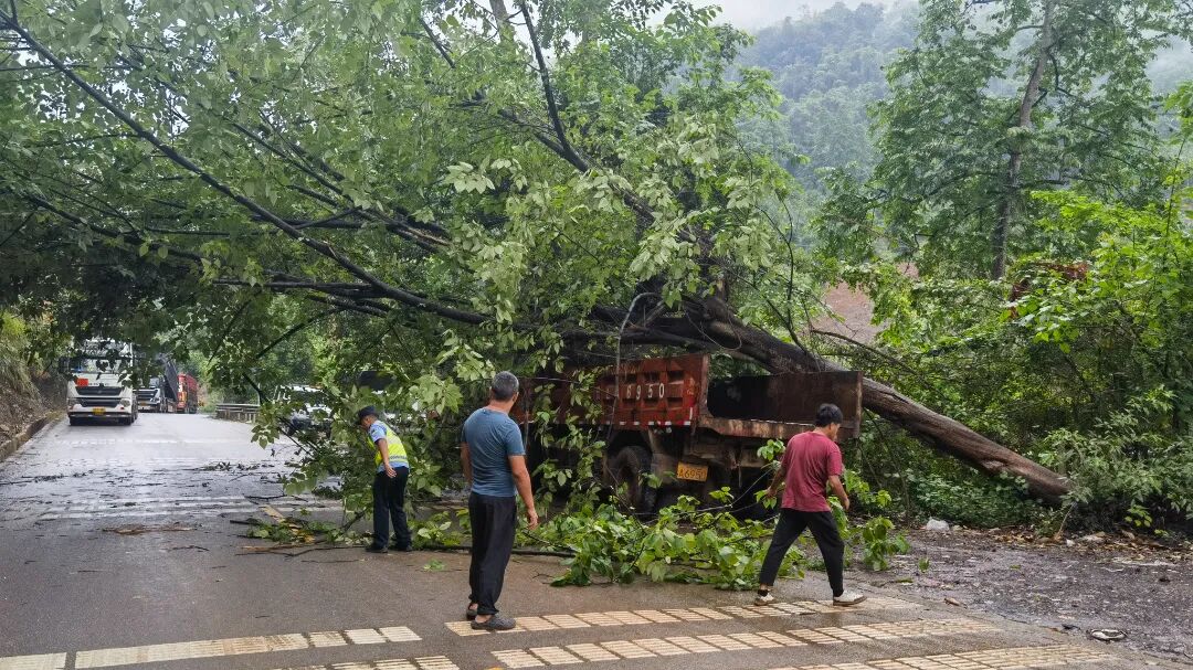 救援照片 (4).jpg