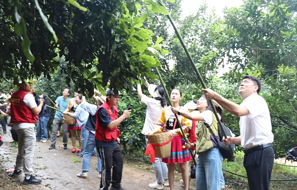 2025年临沧坚果节（领导）李丽君20250907 (49).JPG