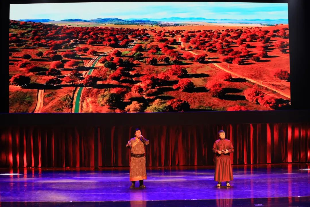 基层艺讯 | 我要上“村晚” 欢喜过大年迎新春晚会圆满成功！ 第15张