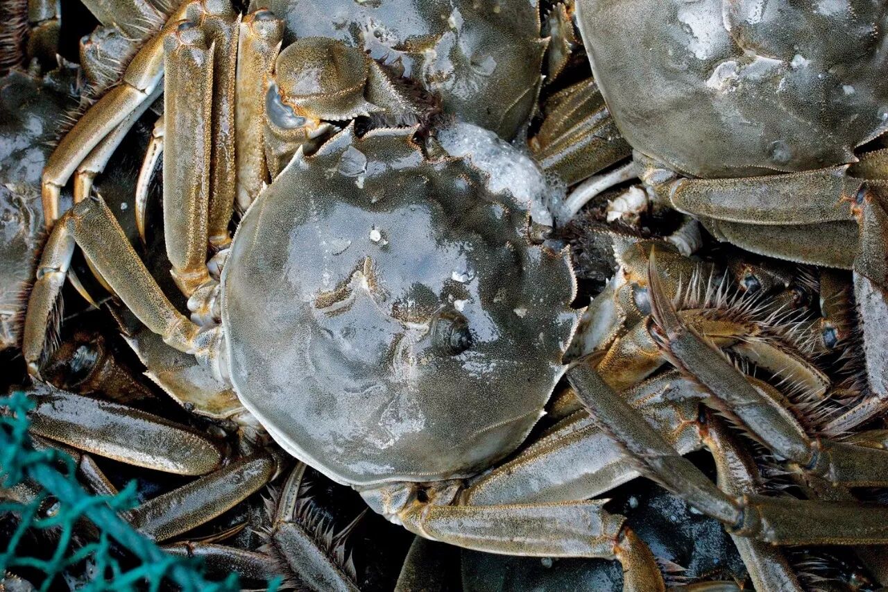 特别策划 ∣ 俺是水货儿,老地道啦!