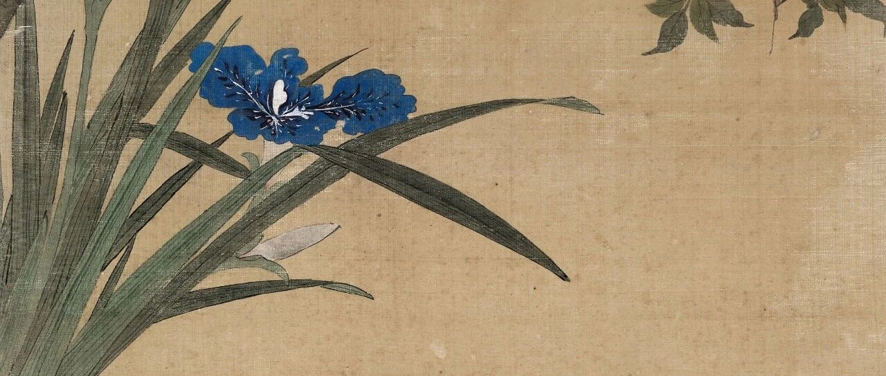 �����������໨��ͼƬ