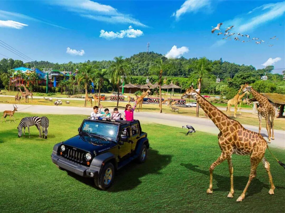 广州番禺长隆野生动物园攻略_广州长隆野生动物园一日游攻略_香江野生动物园