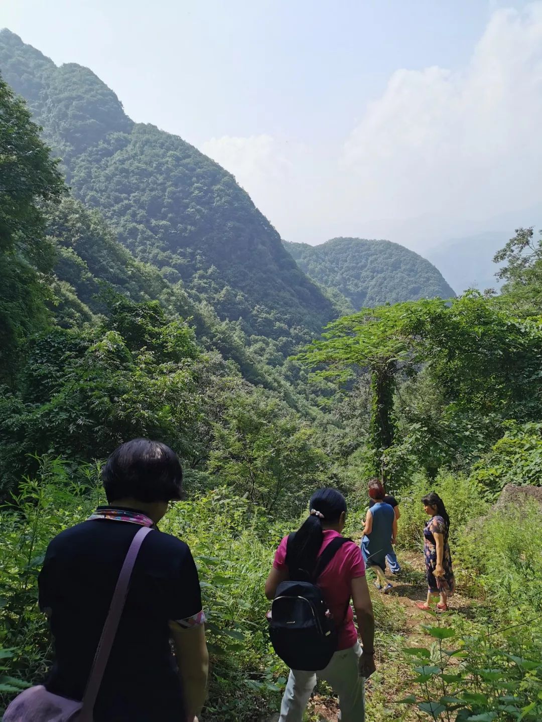 大榆樹(shù)木地板_木格子地板_杵榆樹(shù)是女兒木嗎