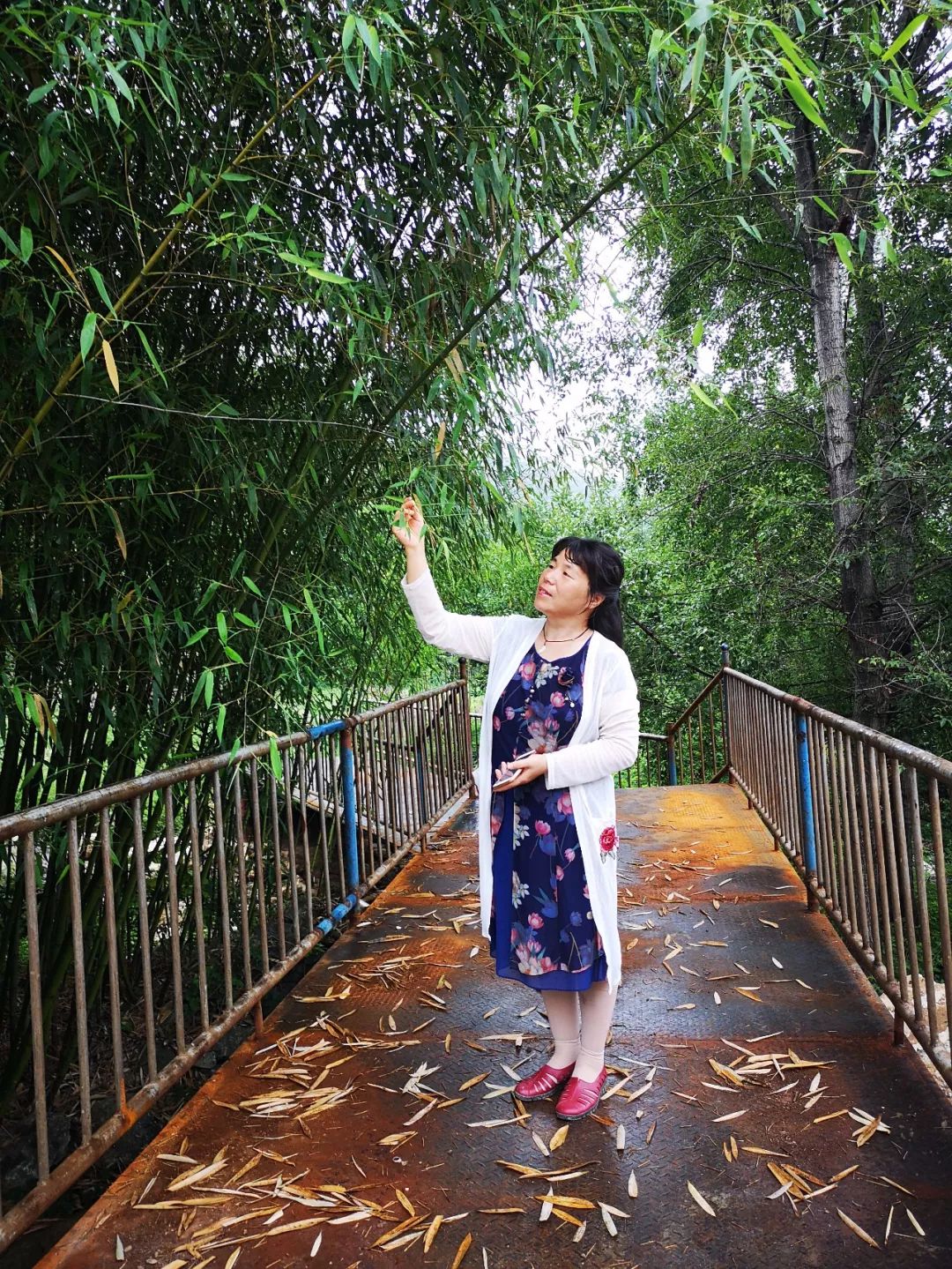 榆樹(shù)上的木蠹蛾怎么治_大榆樹(shù)木地板_杵榆樹(shù)是女兒木嗎