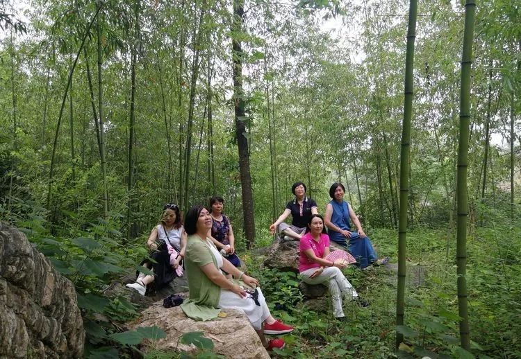 大榆樹(shù)木地板_杵榆樹(shù)是女兒木嗎_榆樹(shù)上的木蠹蛾怎么治