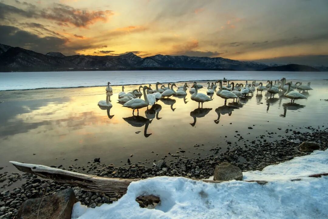 不是东京大阪！这个浪漫雪国，一到冬天就美成童话
