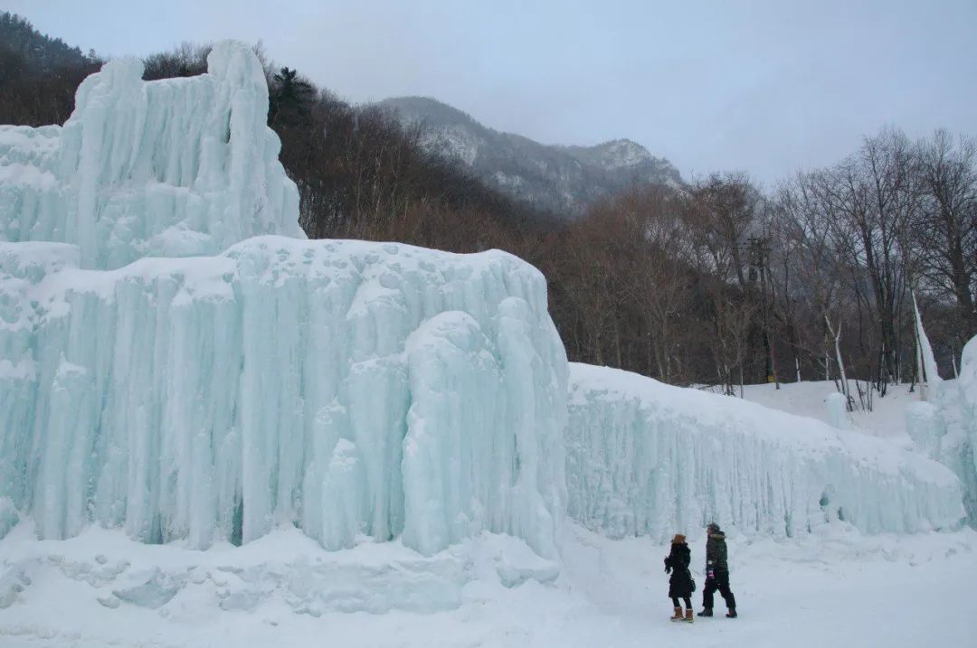 不是东京大阪！这个浪漫雪国，一到冬天就美成童话