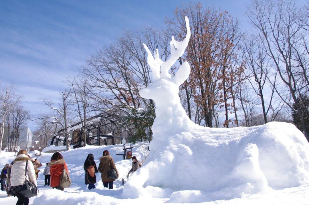 不是东京大阪！这个浪漫雪国，一到冬天就美成童话