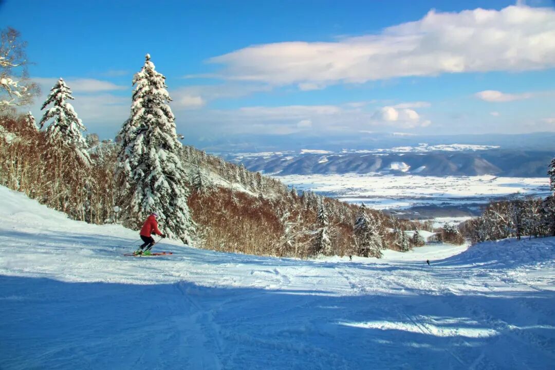不是东京大阪！这个浪漫雪国，一到冬天就美成童话
