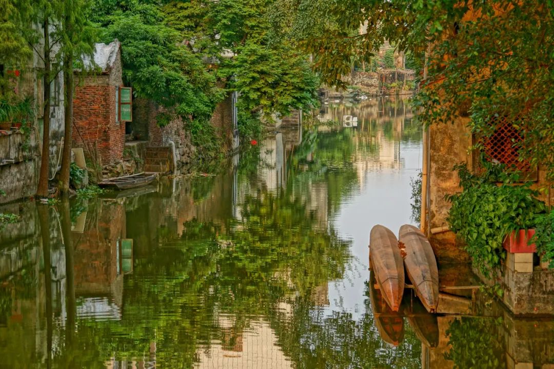 2025年凤城顺德旅游：广东人的真正食堂！竟是这座低调小城，好吃程度碾压全国！