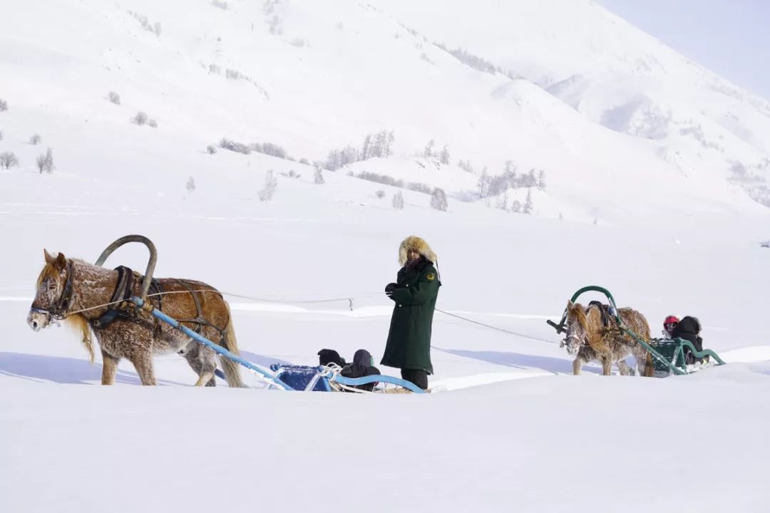驚艷！銀裝素裹，追尋北疆冬日童話 旅行 第17張