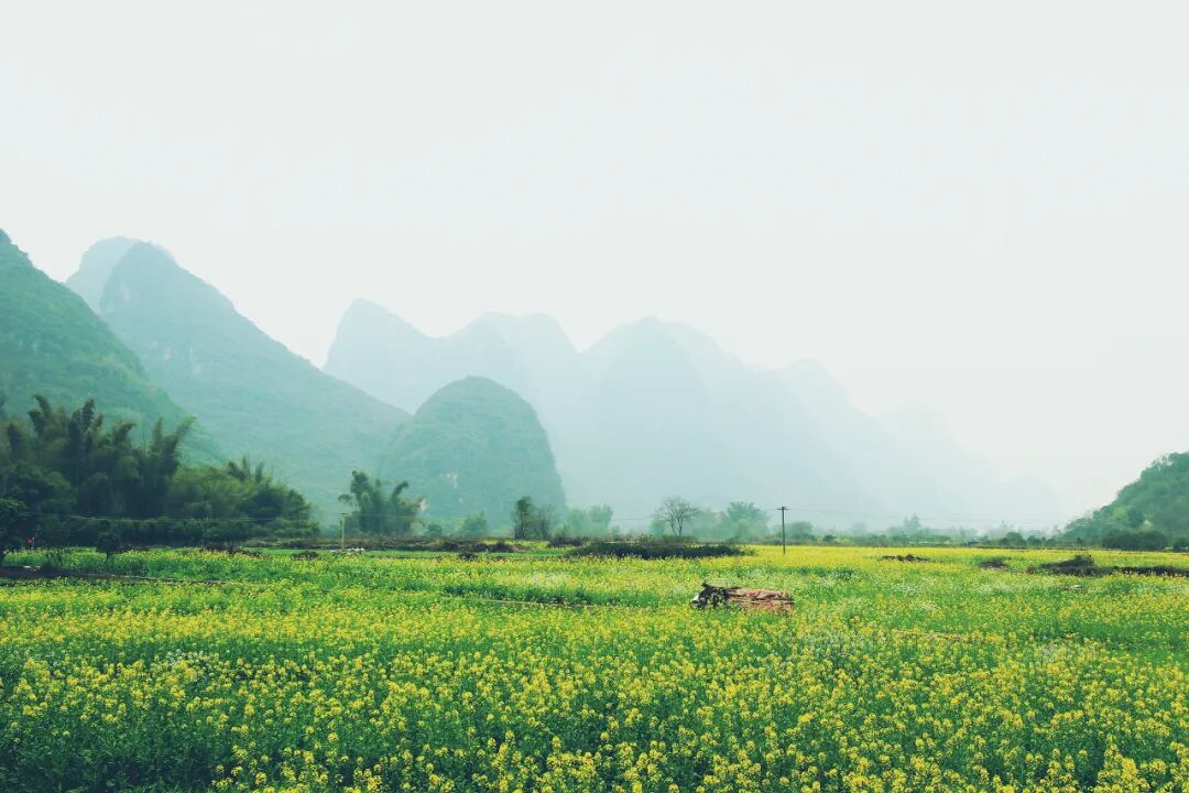 3月最佳旅行地 | 7元嗦粉、5元坐船、0元看花海，中国有的是好看又好吃的地方！