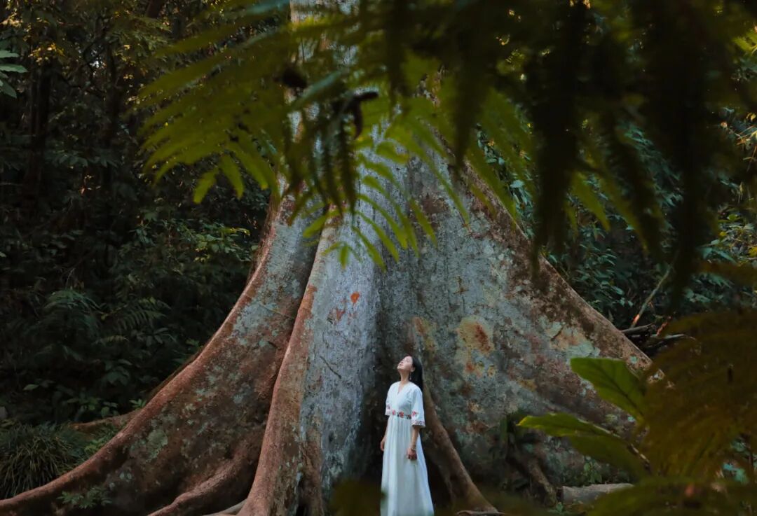4月春假旅行榜｜挖到被低估的小城，春色比扬州更撩，钻进紫蓝色花海被治愈！
