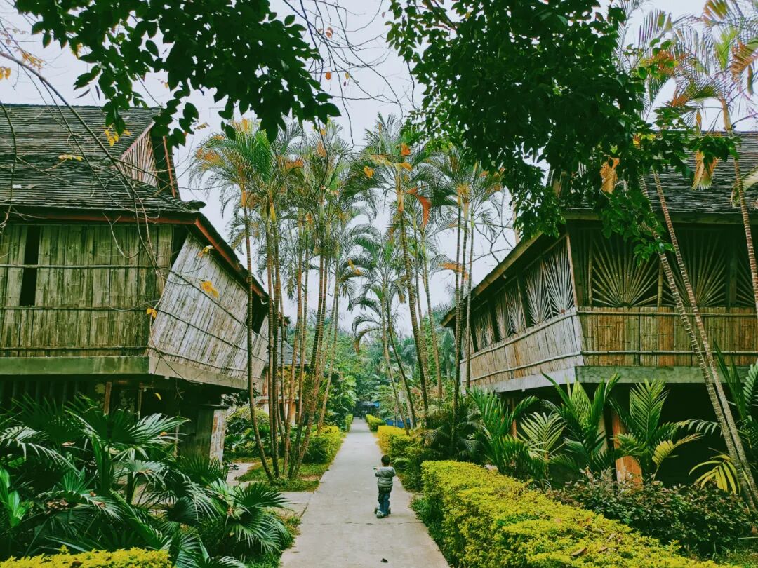 4月春假旅行榜｜挖到被低估的小城，春色比扬州更撩，钻进紫蓝色花海被治愈！