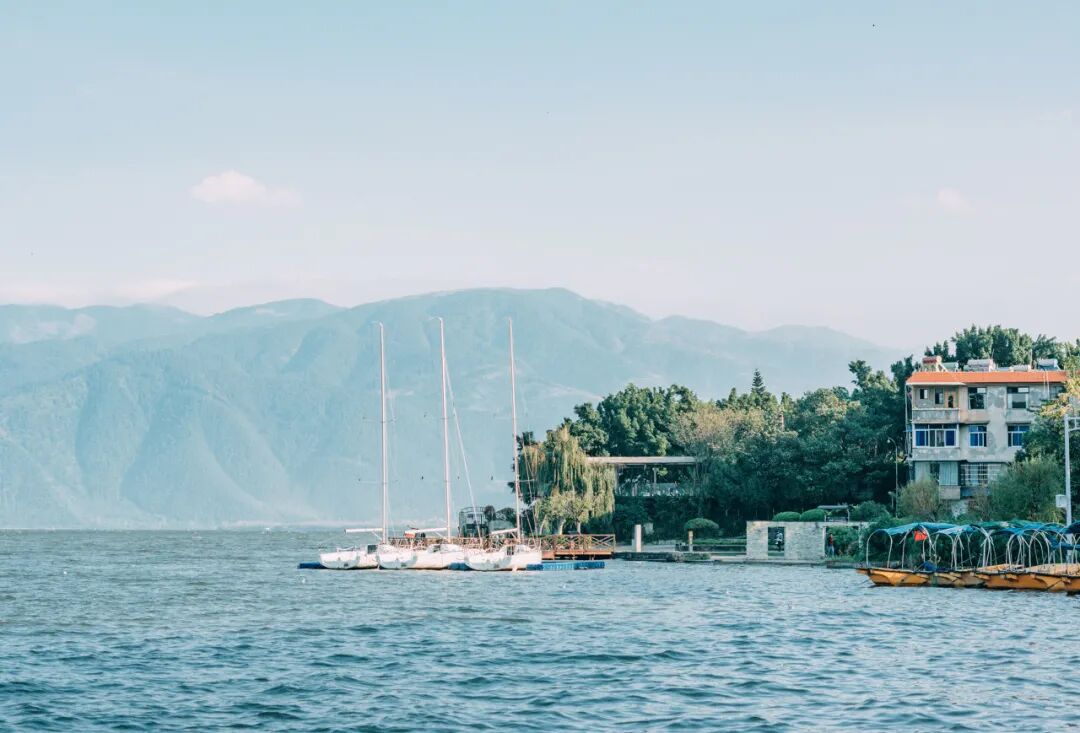4月春假旅行榜｜挖到被低估的小城，春色比扬州更撩，钻进紫蓝色花海被治愈！