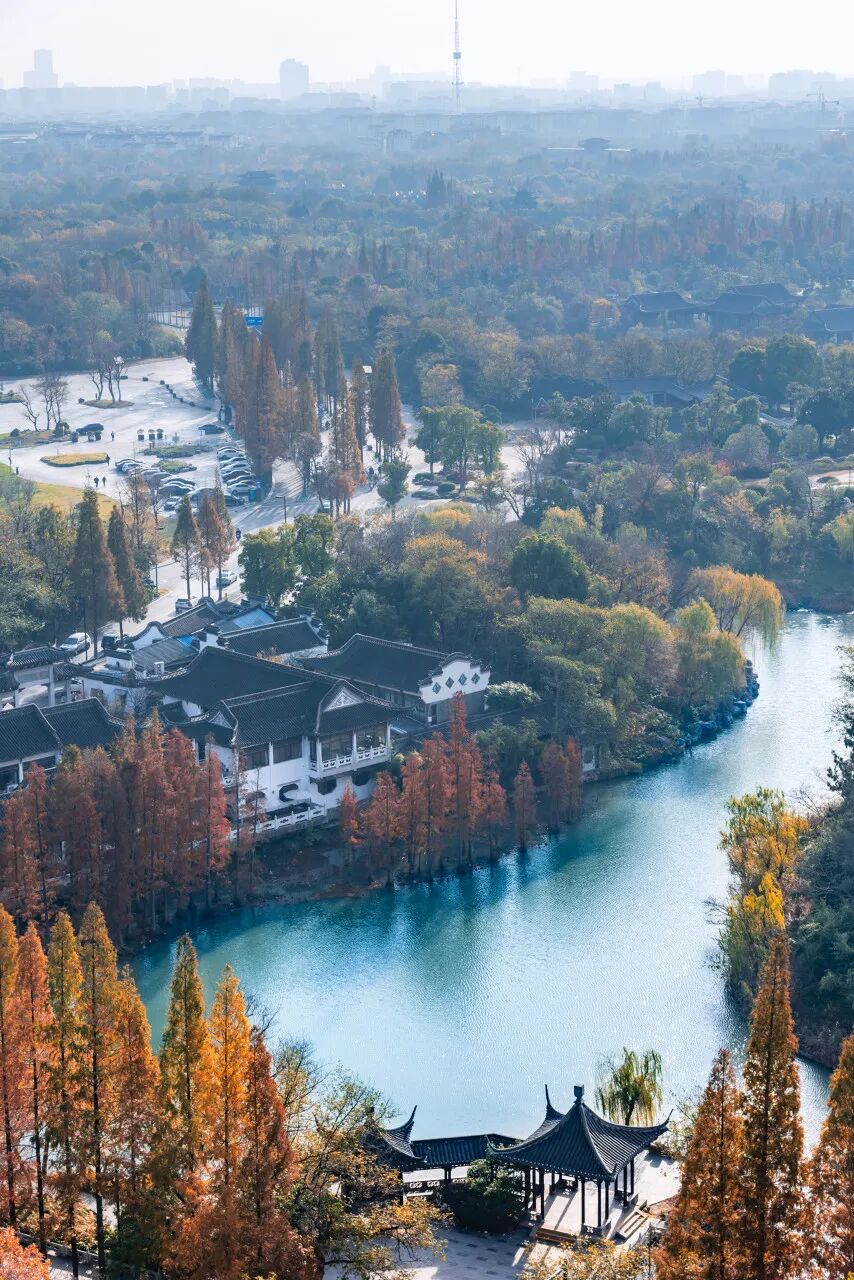 中国早茶第二城？不如广州出名，亦无苏州风情，这个低调水乡凭味道征服全国！