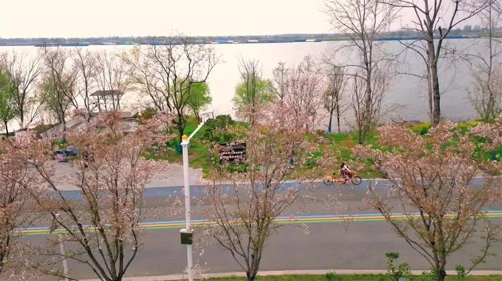 中国早茶第二城？不如广州出名，亦无苏州风情，这个低调水乡凭味道征服全国！