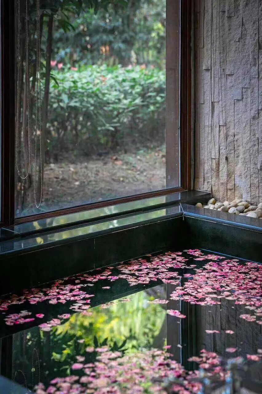 中国早茶第二城？不如广州出名，亦无苏州风情，这个低调水乡凭味道征服全国！