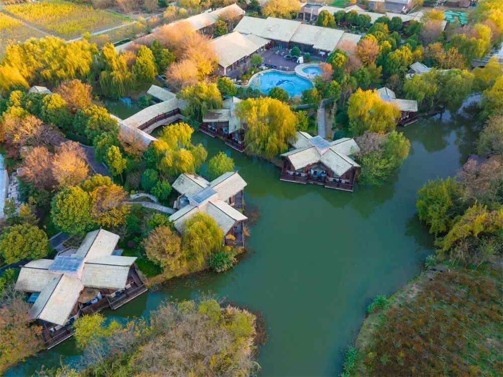 中国早茶第二城？不如广州出名，亦无苏州风情，这个低调水乡凭味道征服全国！