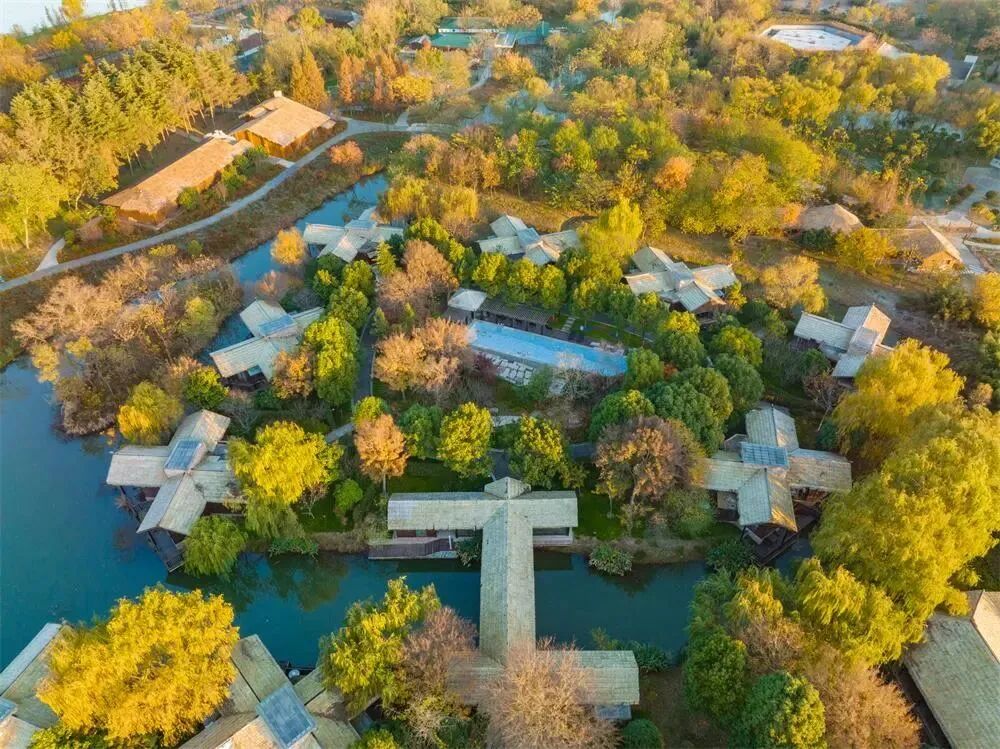 中国早茶第二城？不如广州出名，亦无苏州风情，这个低调水乡凭味道征服全国！