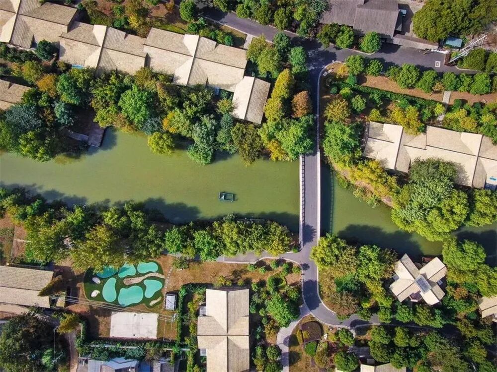 中国早茶第二城？不如广州出名，亦无苏州风情，这个低调水乡凭味道征服全国！