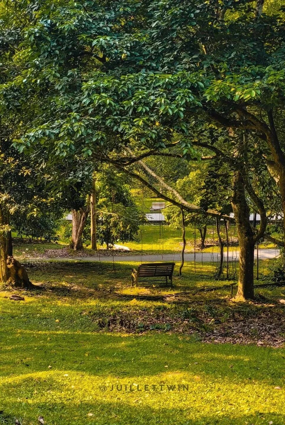 满足中国胃的免签城比新加坡更有性价比我太想去这里退休