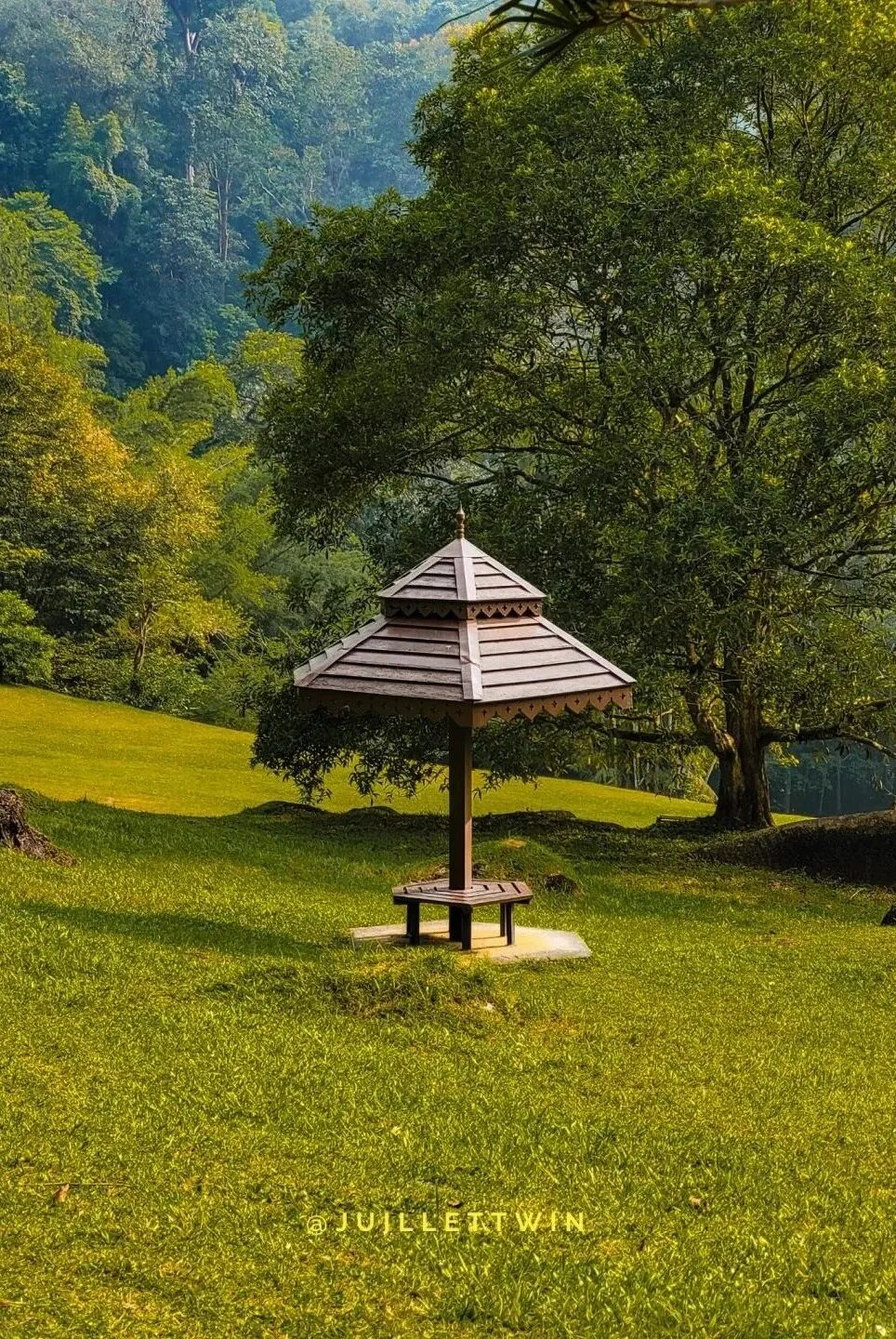 满足中国胃的免签城比新加坡更有性价比我太想去这里退休