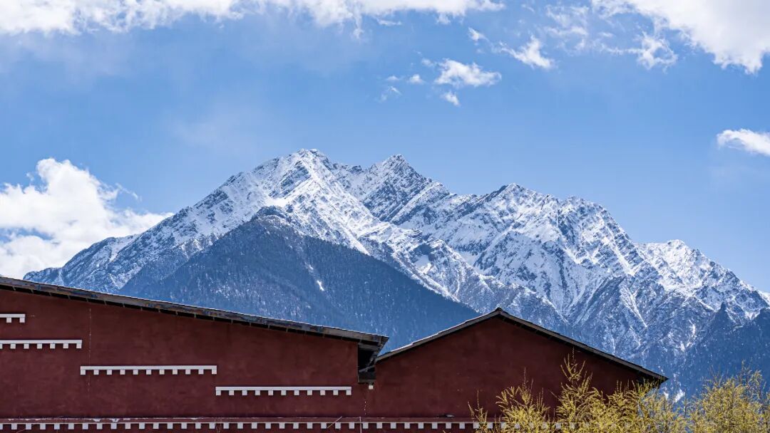 挖到一处桃源秘境，多次登榜《国家地理》春日必去！