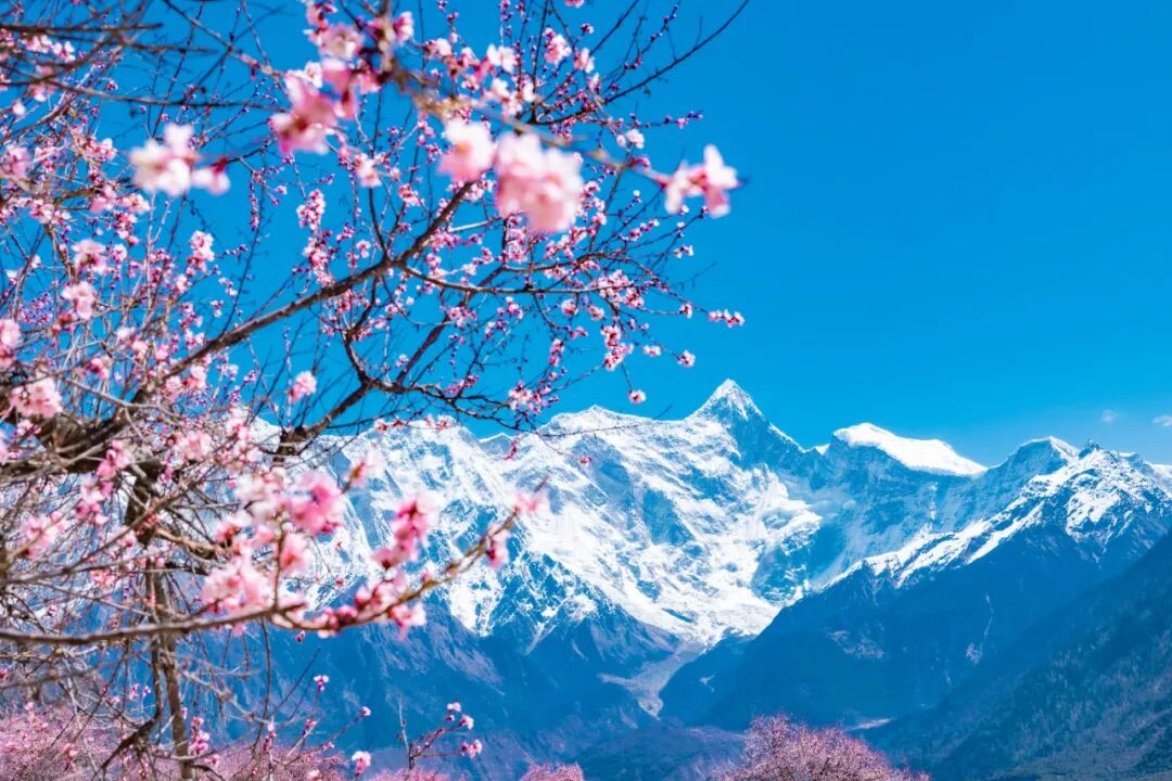 挖到一处桃源秘境，多次登榜《国家地理》春日必去！