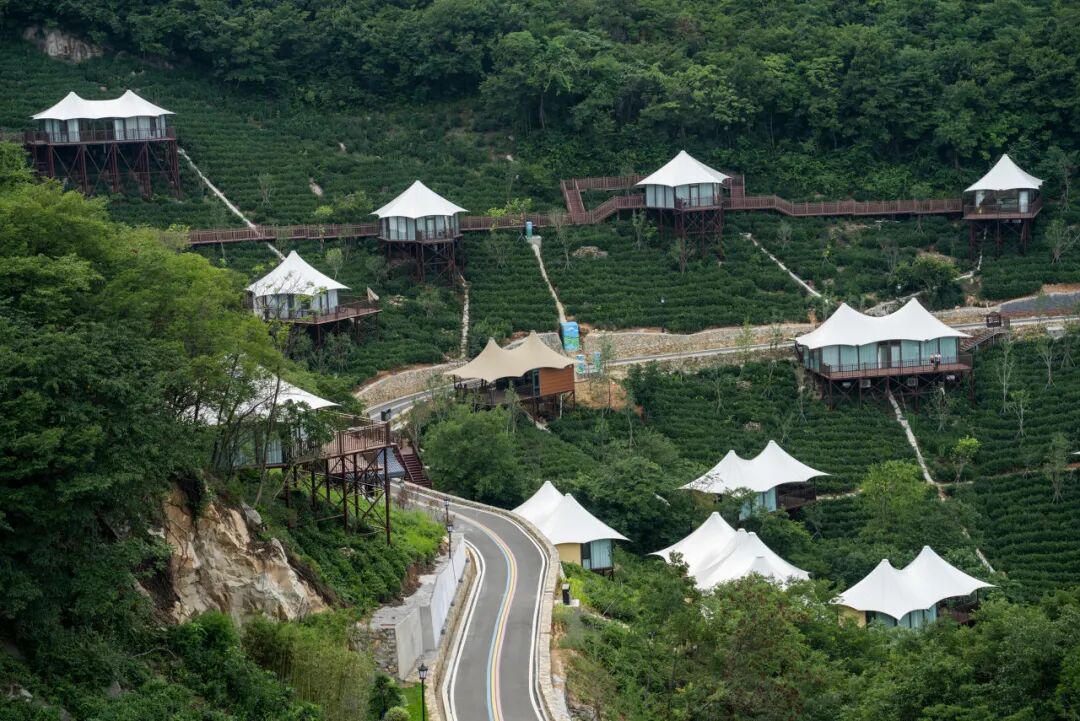 中原被忽略的宝藏小城，连续8年上榜“中国宜居城市”，太适合反向旅行！