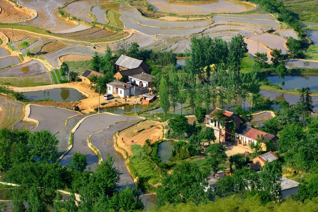 中原被忽略的宝藏小城，连续8年上榜“中国宜居城市”，太适合反向旅行！