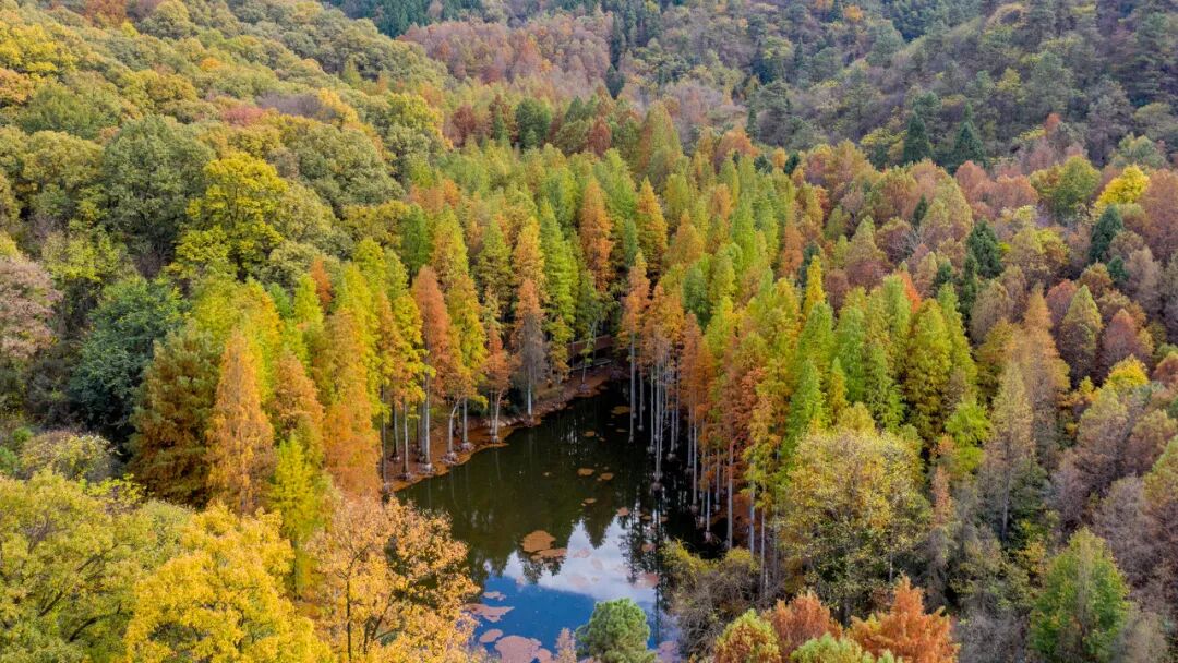 中原被忽略的宝藏小城，连续8年上榜“中国宜居城市”，太适合反向旅行！