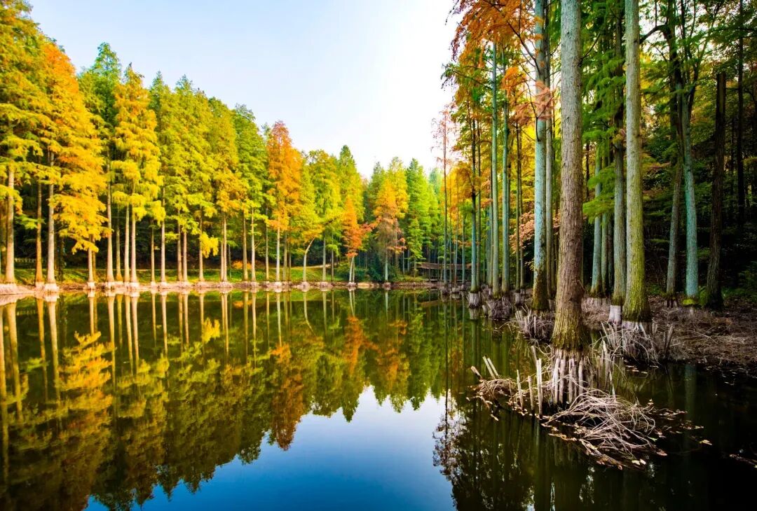 中原被忽略的宝藏小城，连续8年上榜“中国宜居城市”，太适合反向旅行！