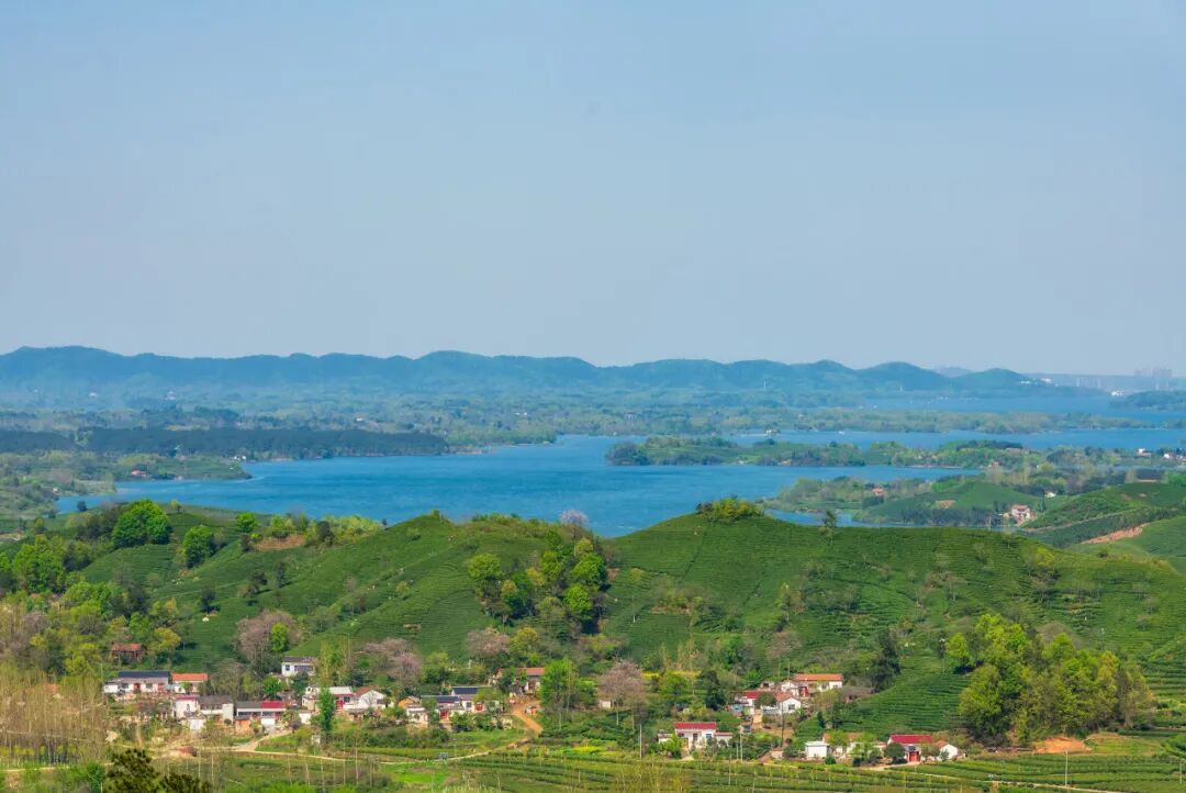 中原被忽略的宝藏小城，连续8年上榜“中国宜居城市”，太适合反向旅行！